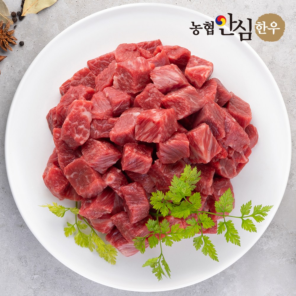 [농협안심한우] 1등급 한우 양지 국거리용 절단 500g(냉동), 1, 500g 24,900원