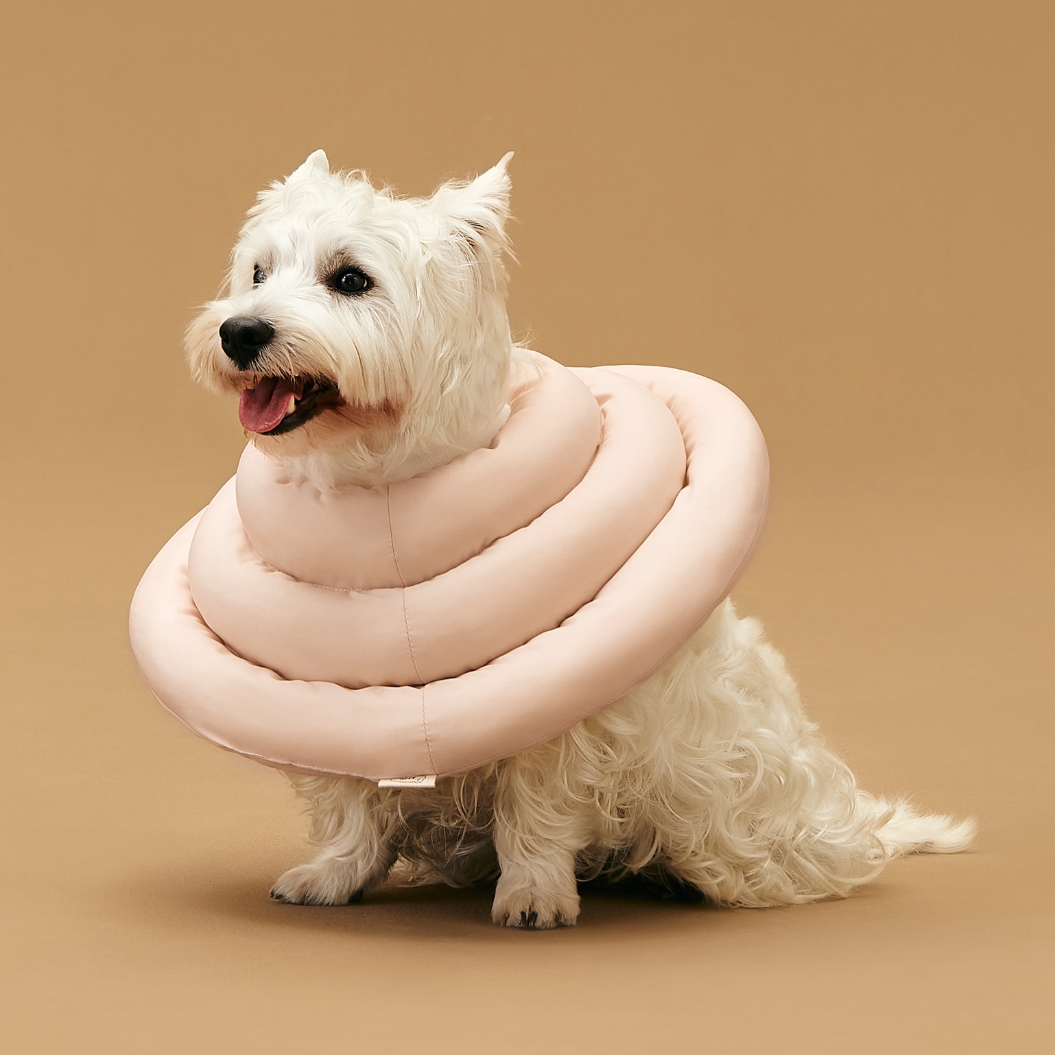 동원아르르 UFO 넥카라 19,850원