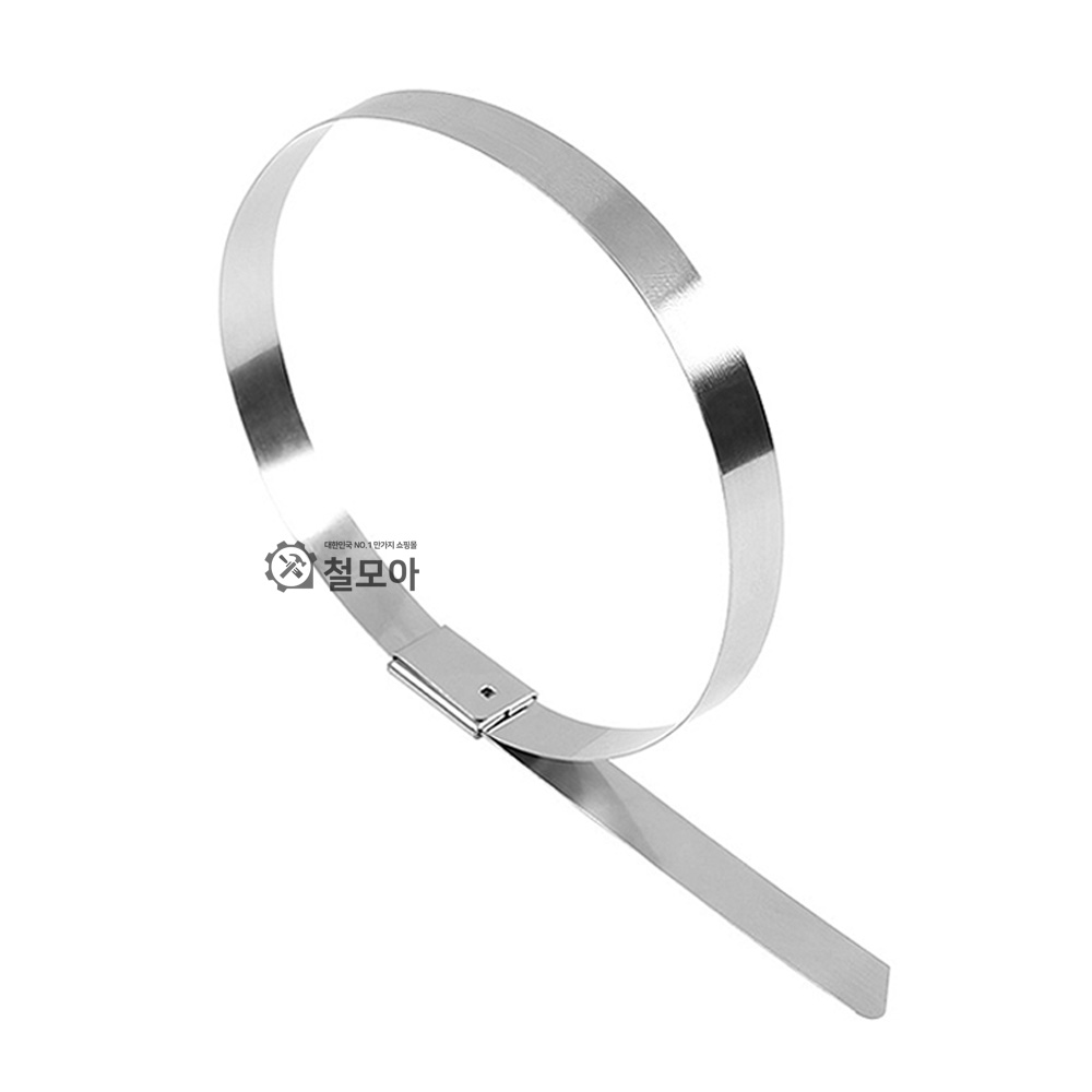 스텐 케이블타이 철타이 메탈 철제 스틸 서스 스테인리스 고강도 전선정리 스텐타이 낱개 1개판매 160원