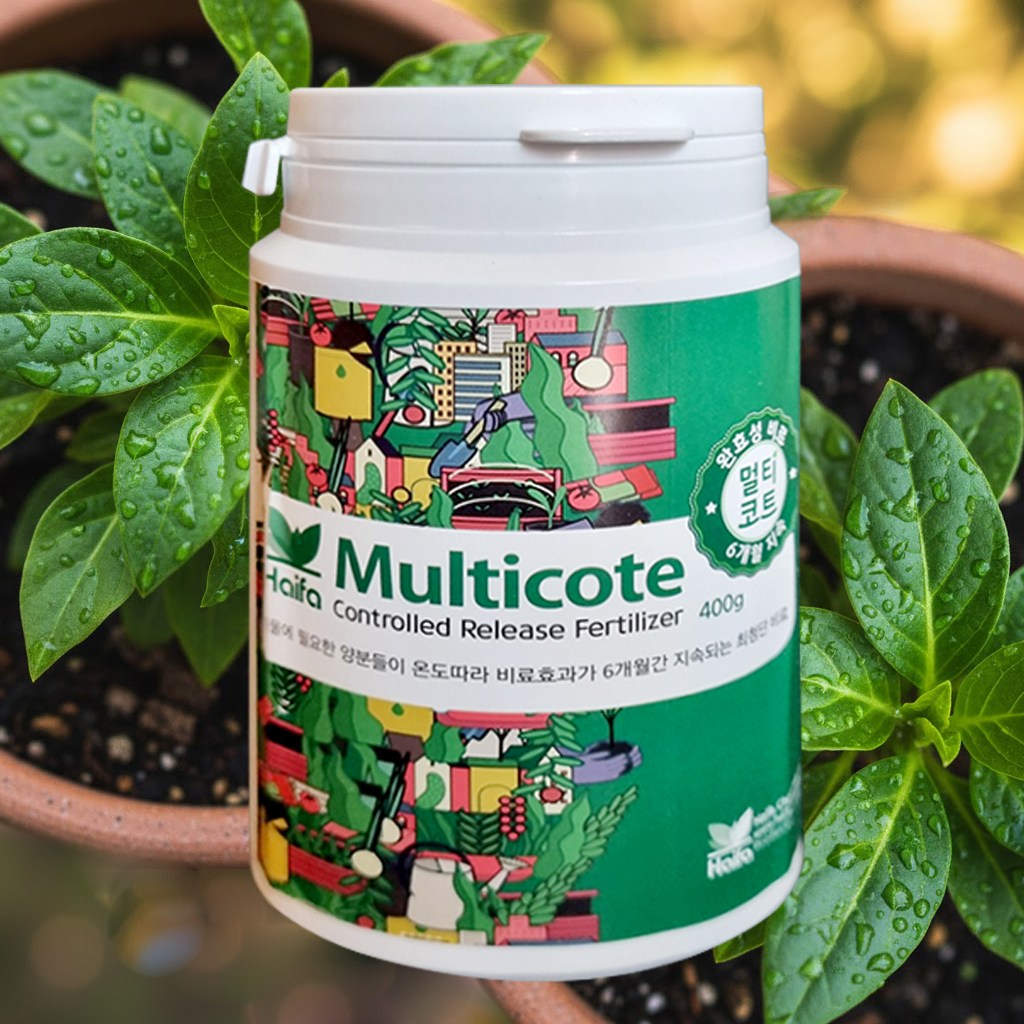 하이파 멀티코트 400g  6개월 지속 알비료 완효성 코팅비료 바사코트 원예 화초 모종 꽃 11,000원