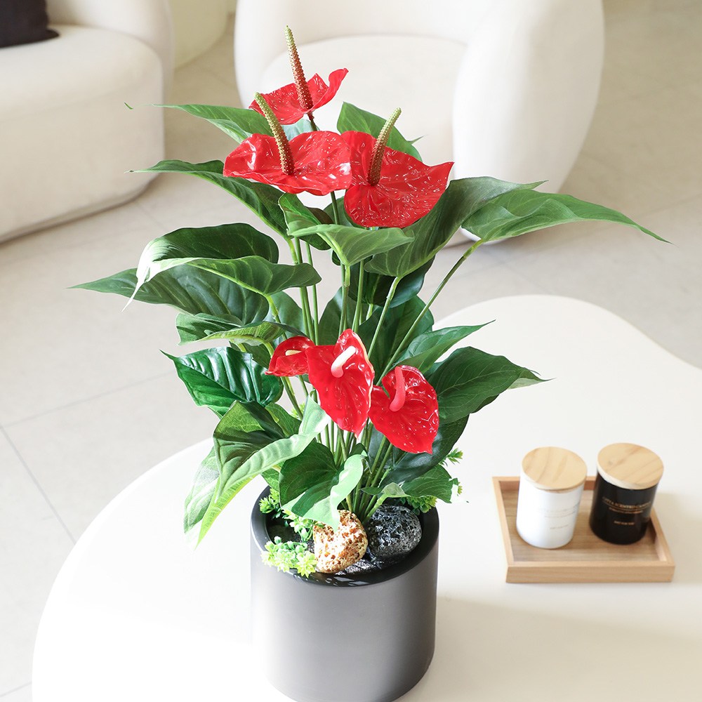 인조식물 인테리어 미니화분 실내 테이블플랜트 조화화분 안스리움화분, 조화화분 안스리움화분 19,900원
