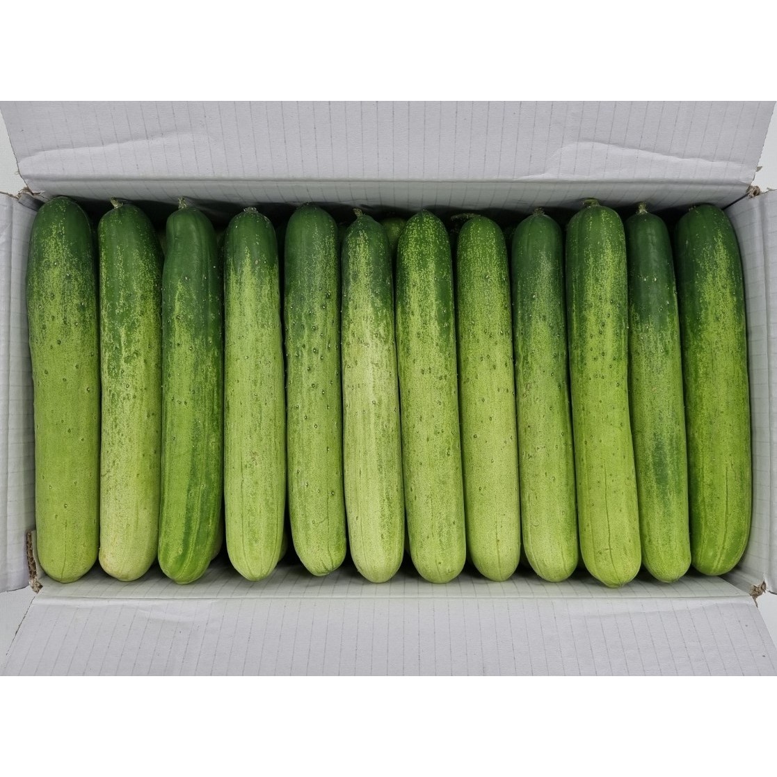 클릭마켓 백오이 백다다기 오이 지오이 특품 15개 30개 50개 45,000원