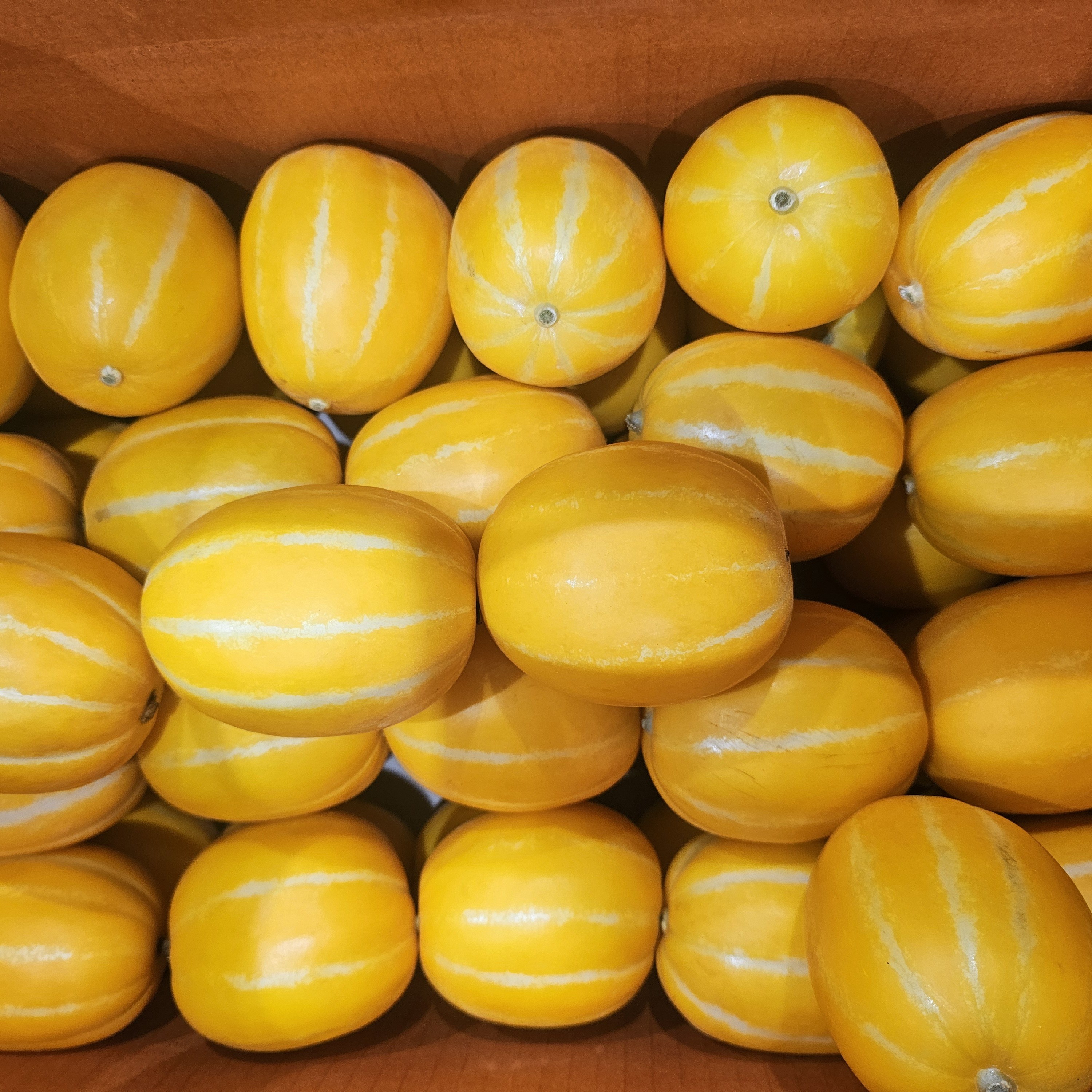 [백화점 납품] 고당도 성주 꿀 참외 프리미엄 당도선별, 1박스, 성주참외 가정용 1kg(랜덤혼합) 21,900원