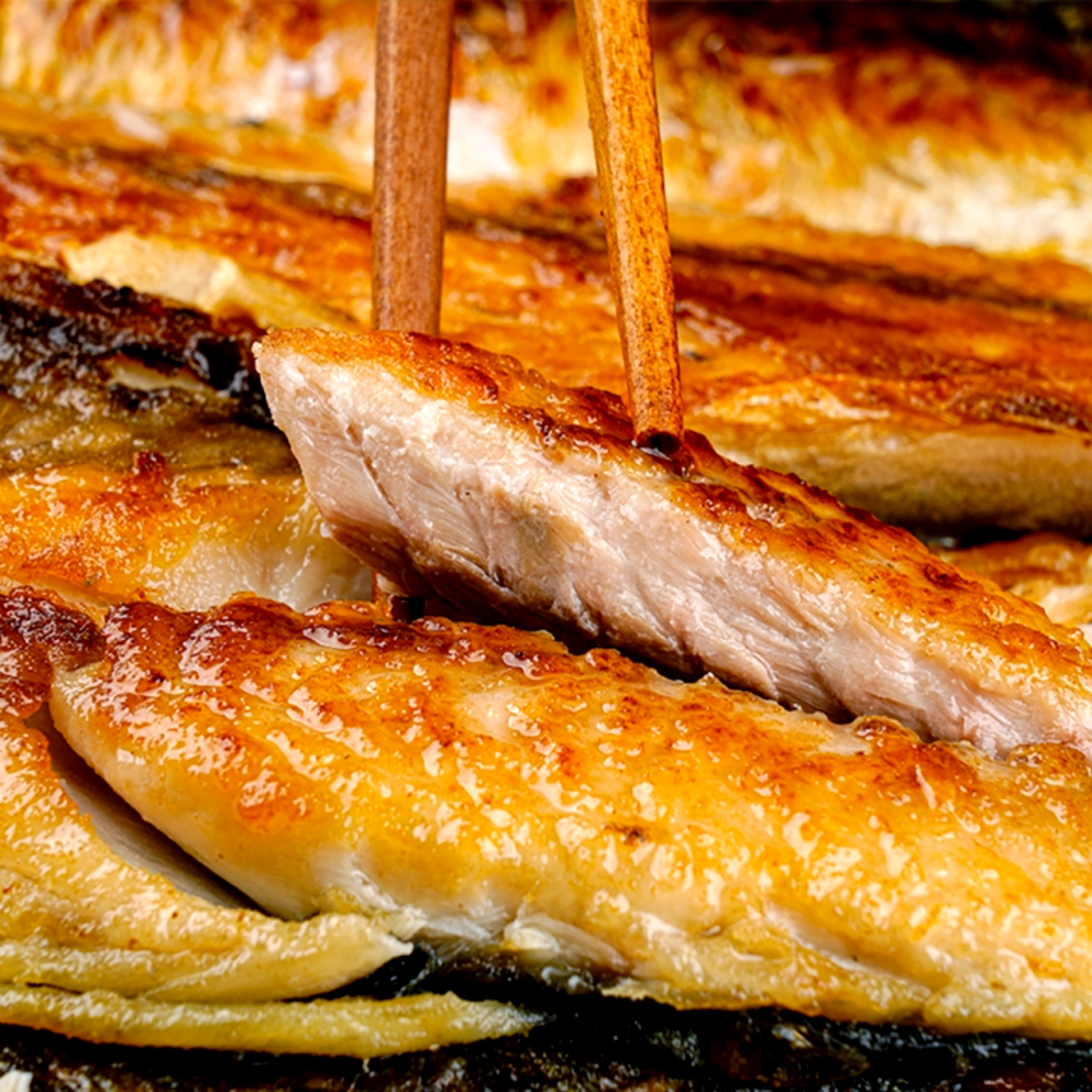 [일500개한정] 100% 국산 가시 비린내 걱정없는 순살 고등어, 10개, 120g 내외 31,900원