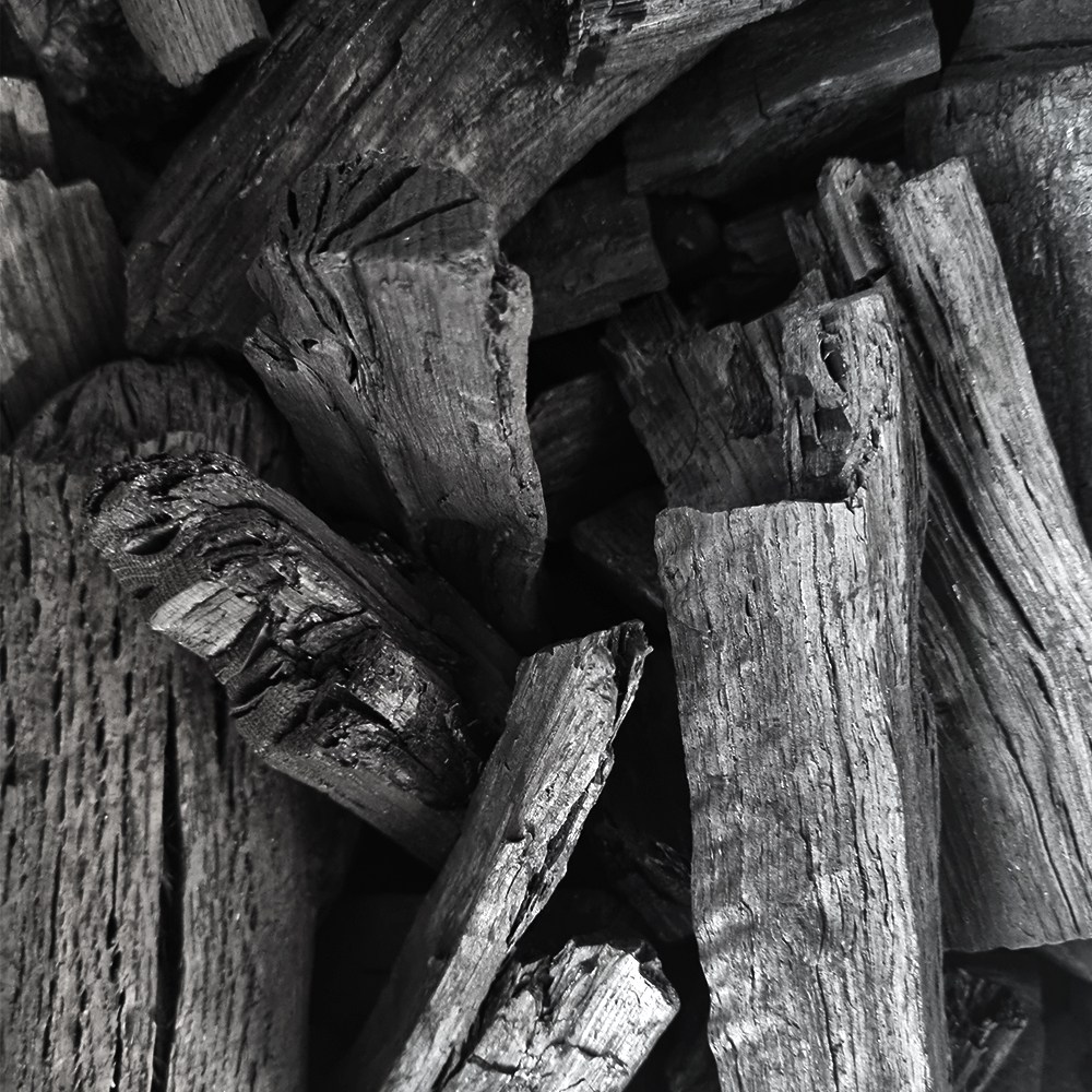 사이언숯 국산 참숯 캠핑 야외용 숯 12,100원