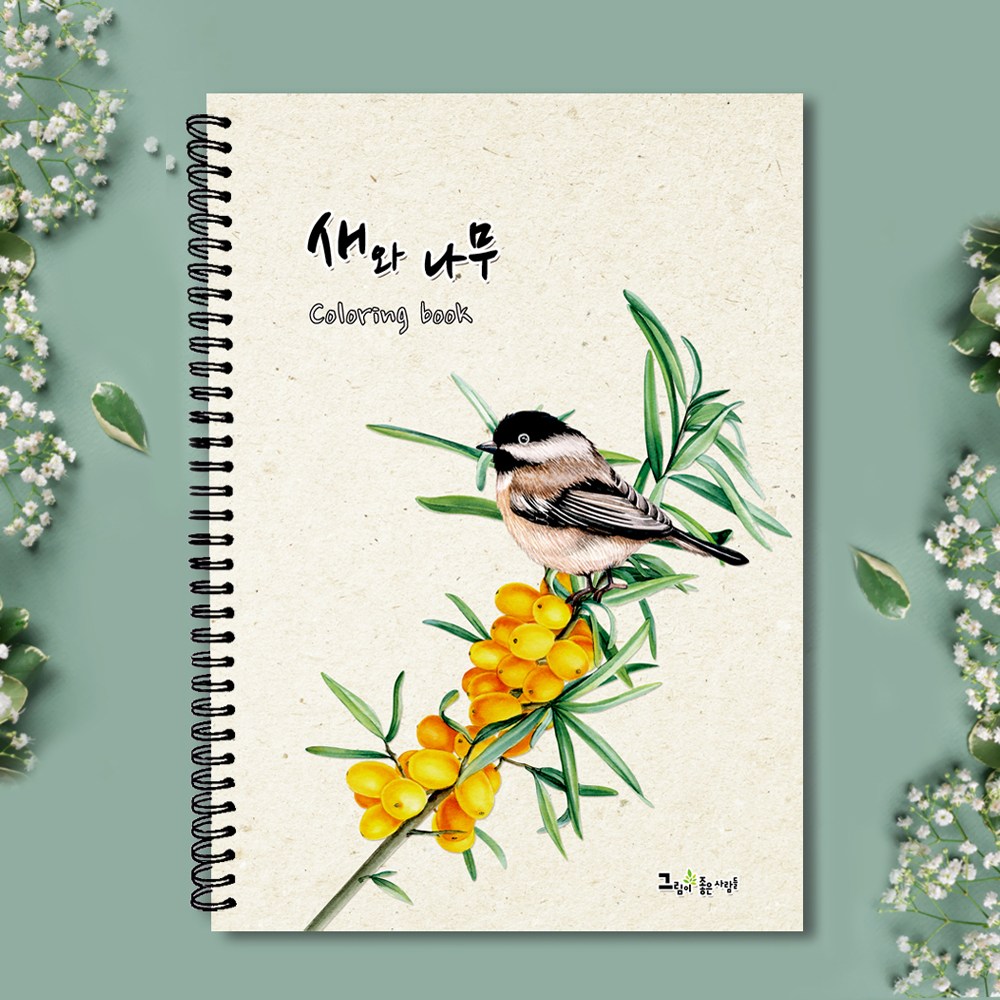 그림이좋은사람들 시니어 컬러링북 수채화 색연필 새와 나무 성인 취미 미술, 새와 나무 14,800원