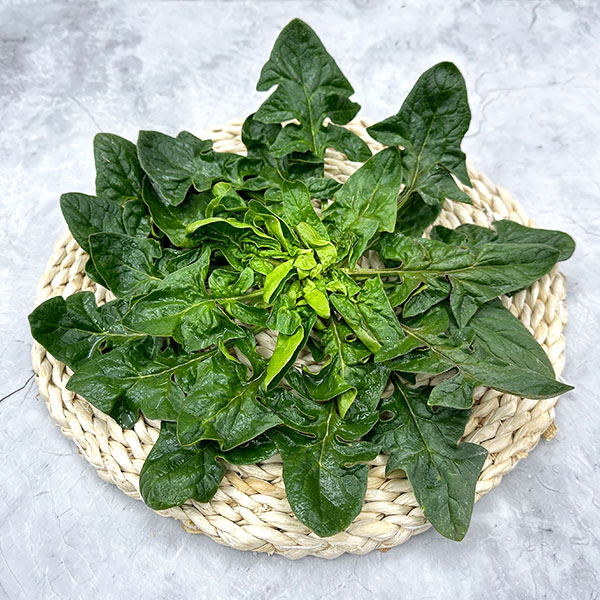 해풍맞은 신안 도초도 사계절 섬초 시금치, 3kg, 1박스 38,900원