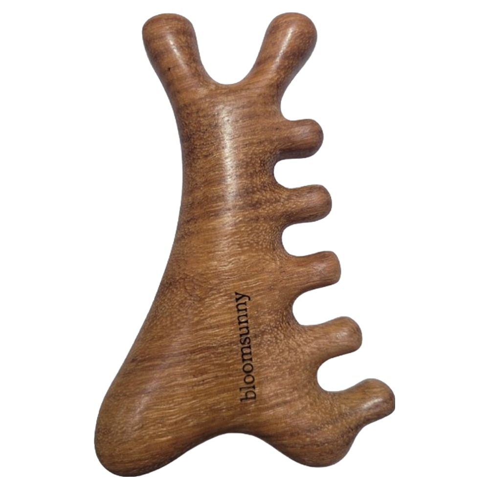 블룸써니 프리미엄 원목 괄사 두피 얼굴 마사지기, 내추럴원목, 1개, 현재가 5,490원