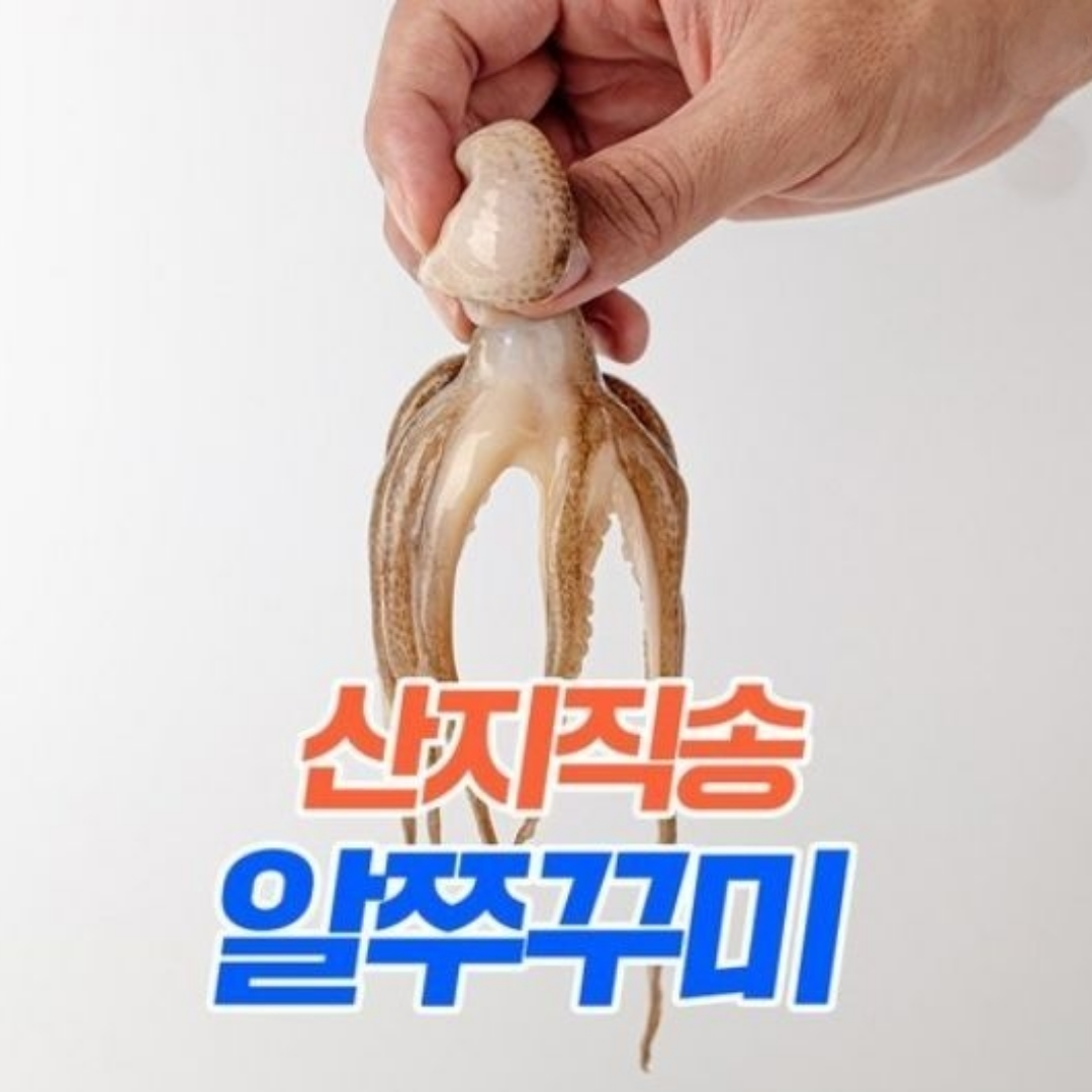 고흥 생물 국산 활 쭈꾸미 1kg 2kg 3kg 산지직송 당일발송 45,900원