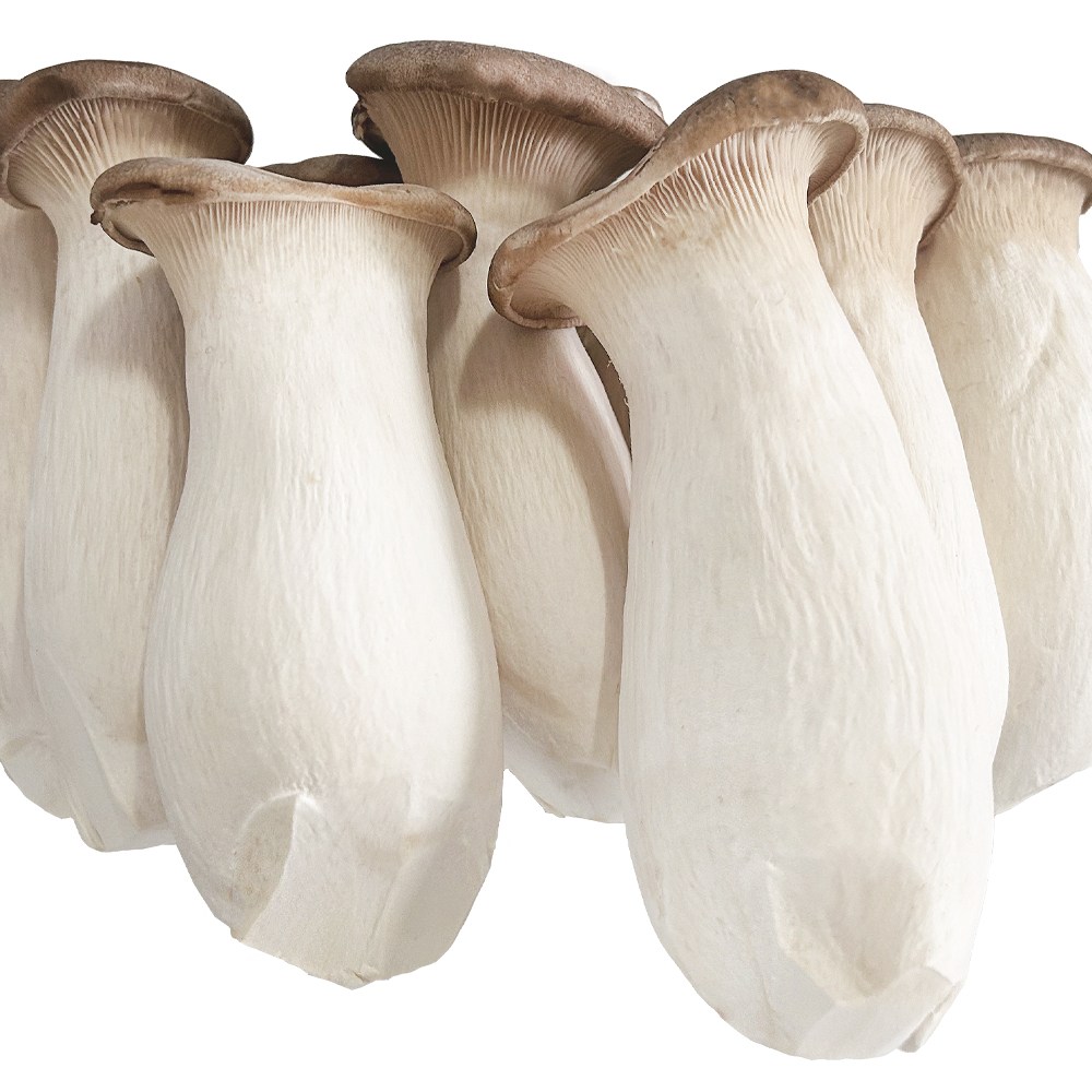 "나씨네" 국내산 어디에도 없었다 상태좋고 맛좋은 새송이 버섯 들여가세요, 1박스, 4kg 23,900원