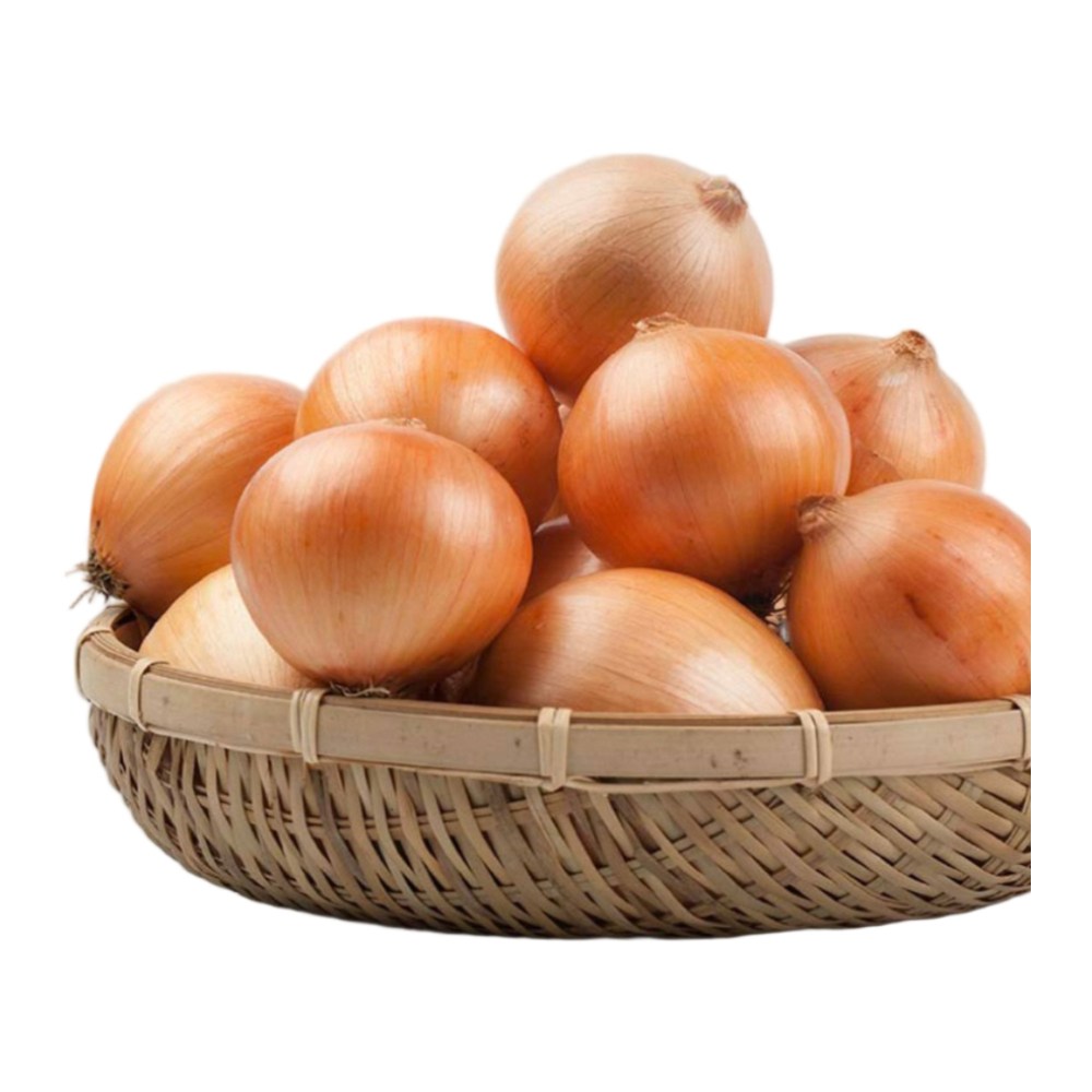 달쿵 국내산 무안 양파 햇양파 1kg ~ 10kg  소용량 대용량 20,900원