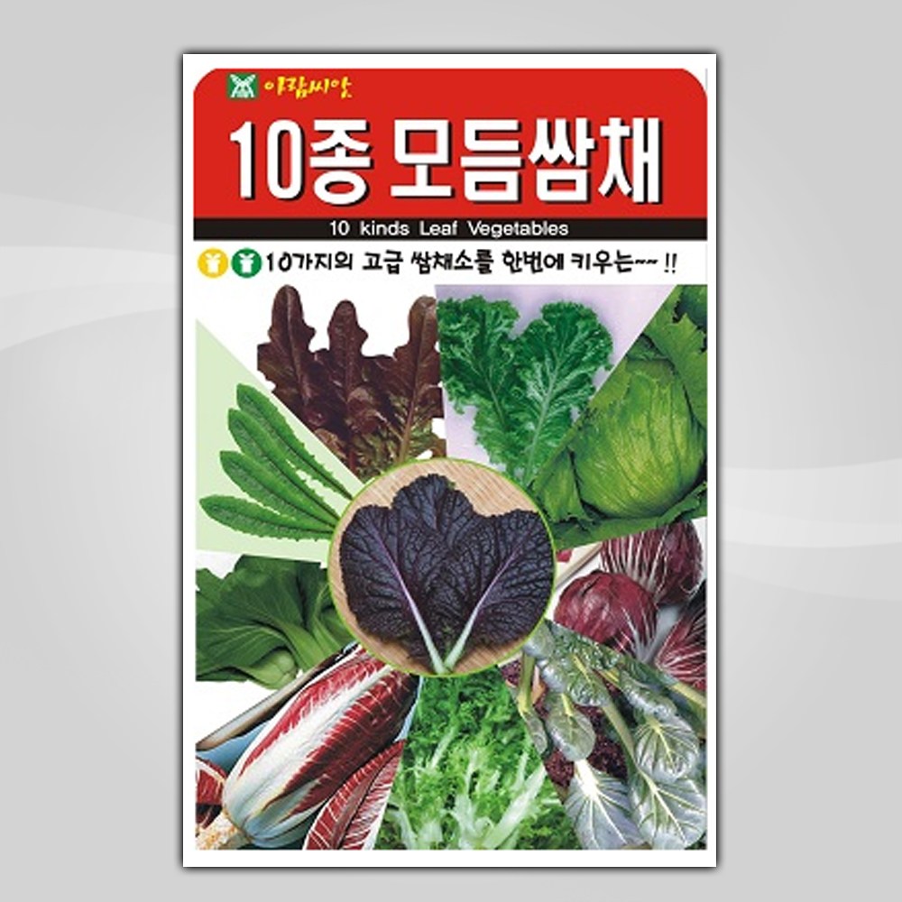 슬로시 상추씨앗 쌈채소씨앗 적치마 양상추 샐러리 5종 혼합상추 씨 3,000원