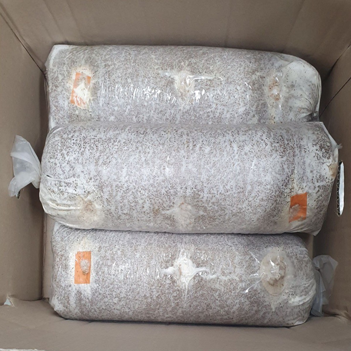 표고버섯종균 느타리버섯종균 송화버섯종균 참송이버섯종균 11,980원