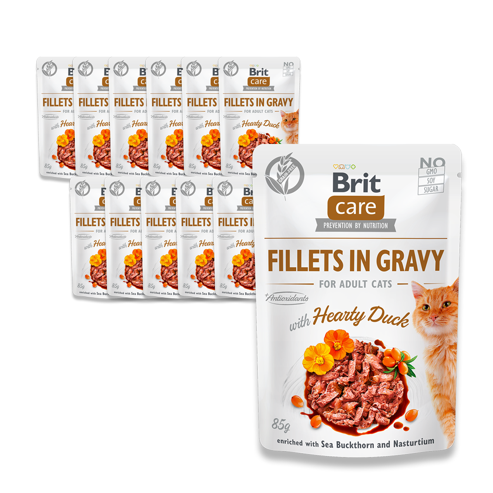 브릿 케어 캣 그레이비 파우치 고양이 주식 기능성 습식사료 33,500원