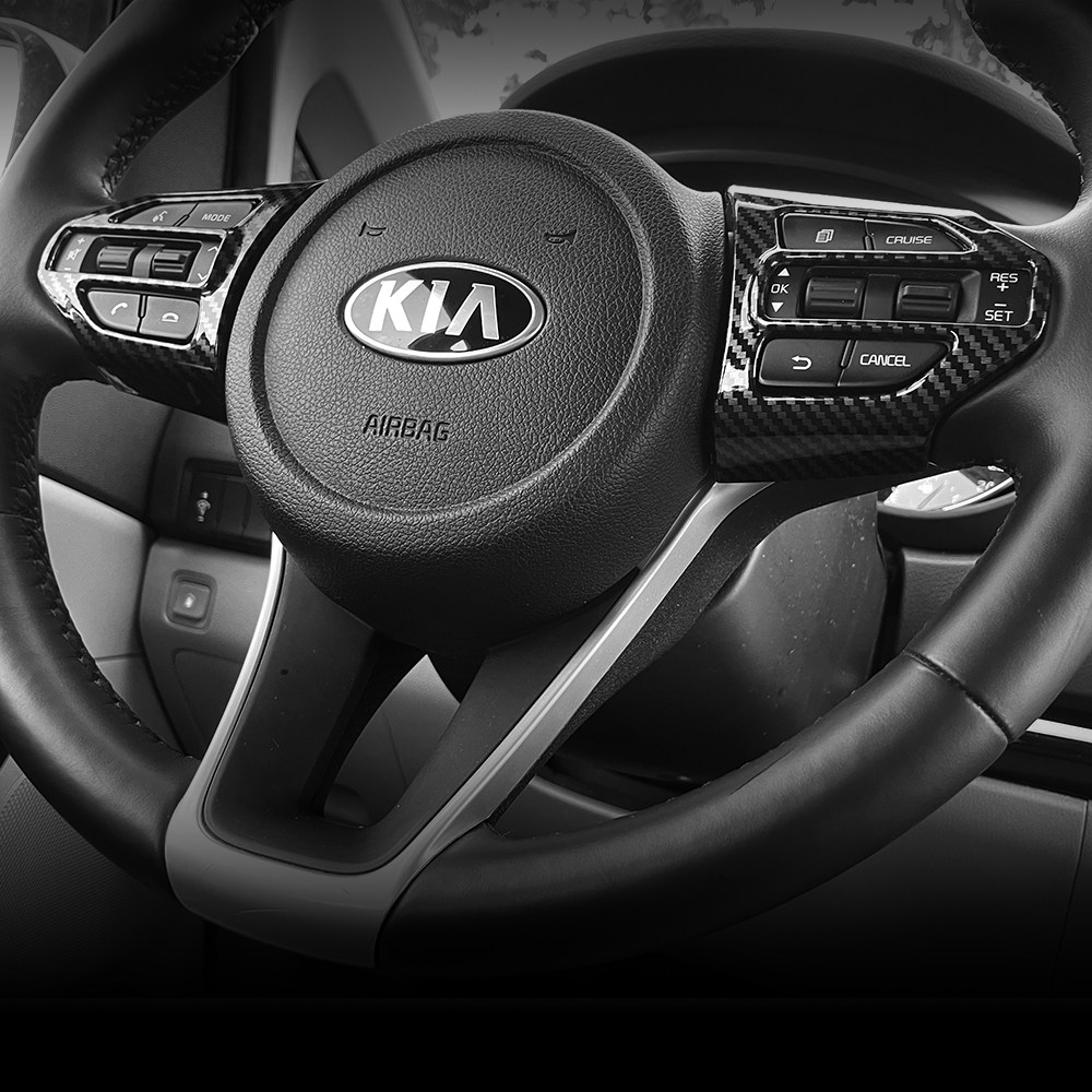 더블랙 호환 더뉴 올뉴 카니발 리무진 실내 튜닝 용품 핸들 리모컨 프레임 커버 카본 몰딩 23,500원