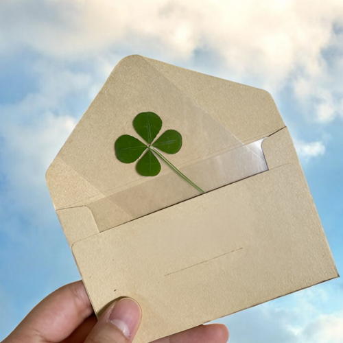 파미유 네잎클로버 책갈피 행운카드 봉투포함 10개, 10p 6,900원