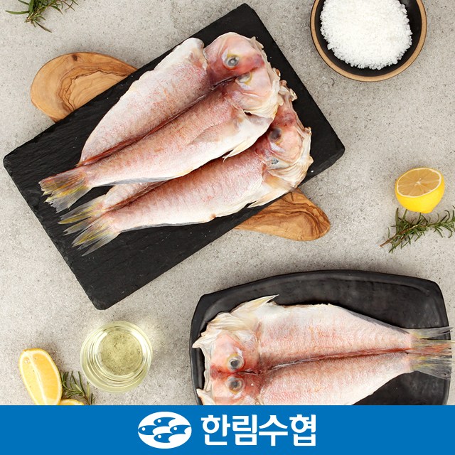 제주 한림수협 제주 특대 옥돔 5미 명품 세트 2.4kg(480g*5팩) / 옥돔 2.4kg(480g*5팩) 259,000원