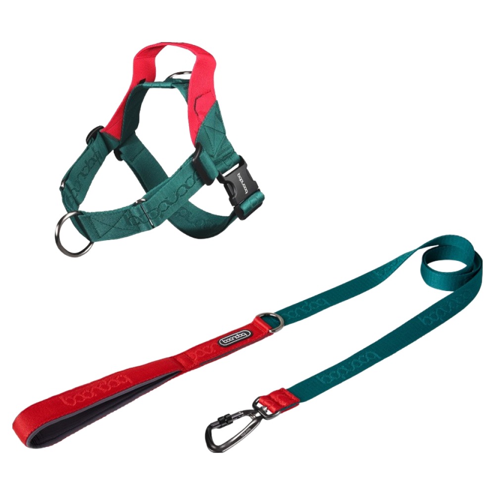 분독 강아지 오리지널리쉬 리드줄 카라비너 하네스 세트 0109, 그린, 1세트 79,800원