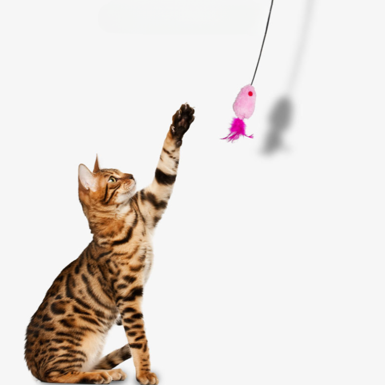 테일즈락 대롱대롱 고양이 사냥놀이 장난감 문걸이 쥐돌이 혼자놀기, 1개, 브라운&그레이 6,500원