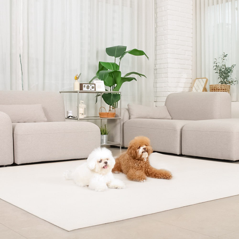 초코펫하우스 강아지 논슬립 레더 매트 52,780원