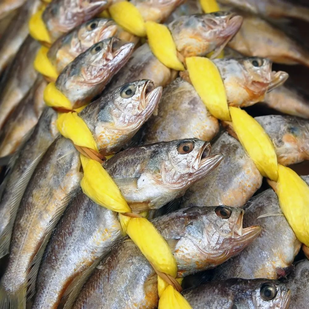 [베셀코] 법성포 영광 참굴비, 20개, 1.5kg내외(엮음) 33,000원