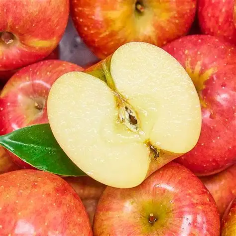 [200박스한정특가] 고당도 경북 부사사과 못난이사과 14,900원