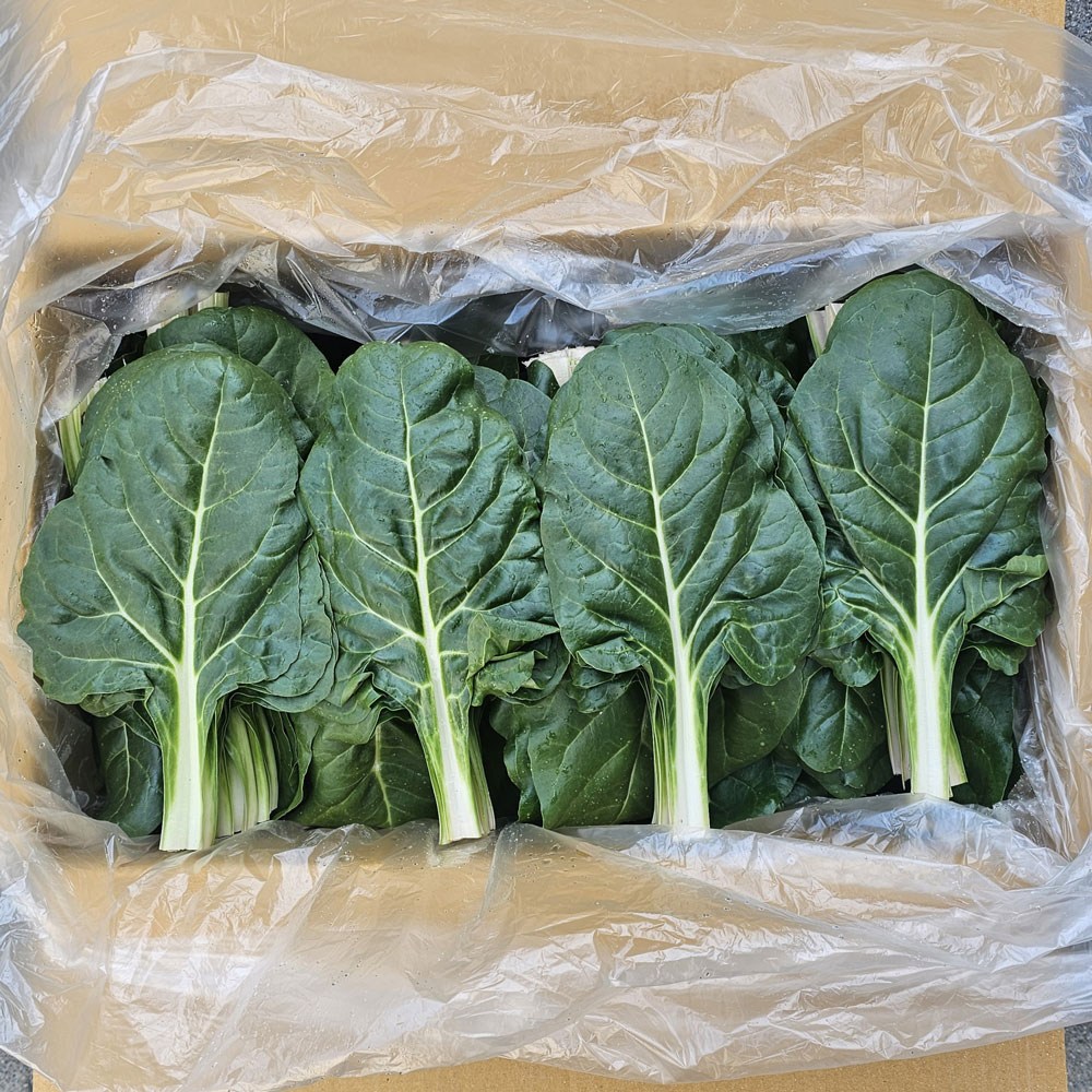 클릭마켓 국내산 근대 쌈채소 샐러드 야채, 1개, 2kg 8,500원