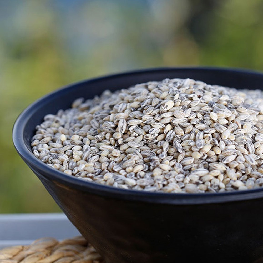 [2025년햇곡] 국내산 흑보리, 1개, 5kg 24,000원