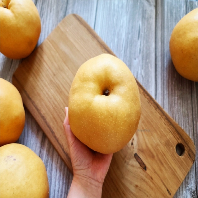 나주배대장 가정용 햇배 나주배 GAP인증 산지직송 신선 달콤, 1박스, 5kg 8-9과 19,900원