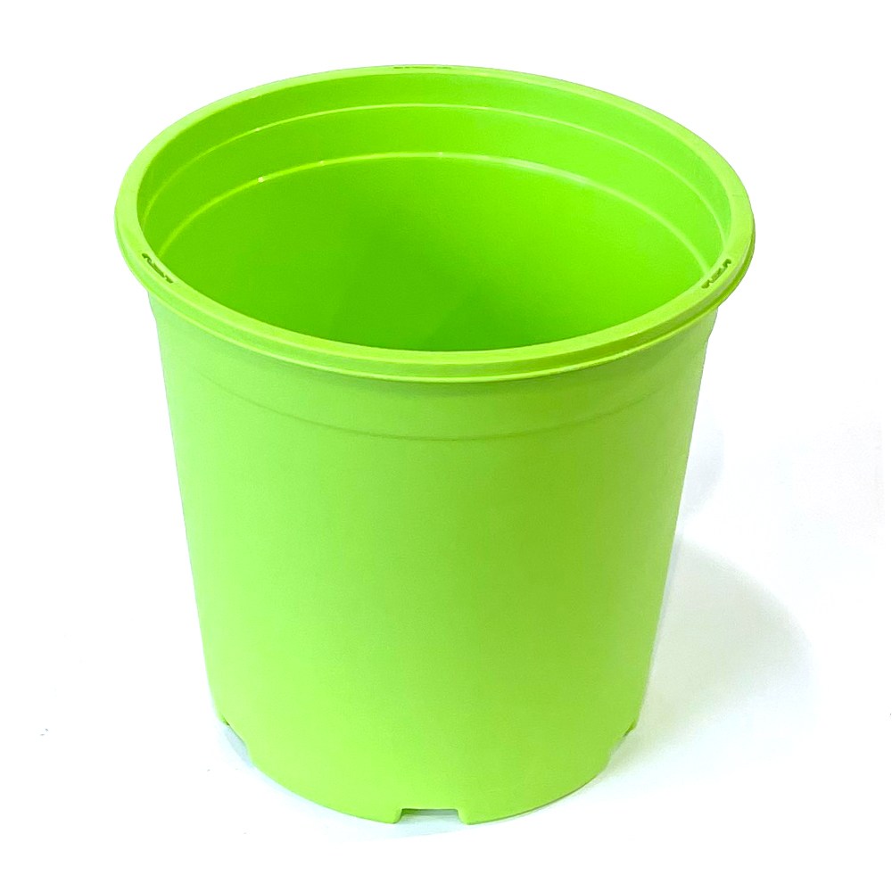 재배분 DS240(검정) 플라스틱화분 분갈이흙 화분 모종, 1개 2,890원