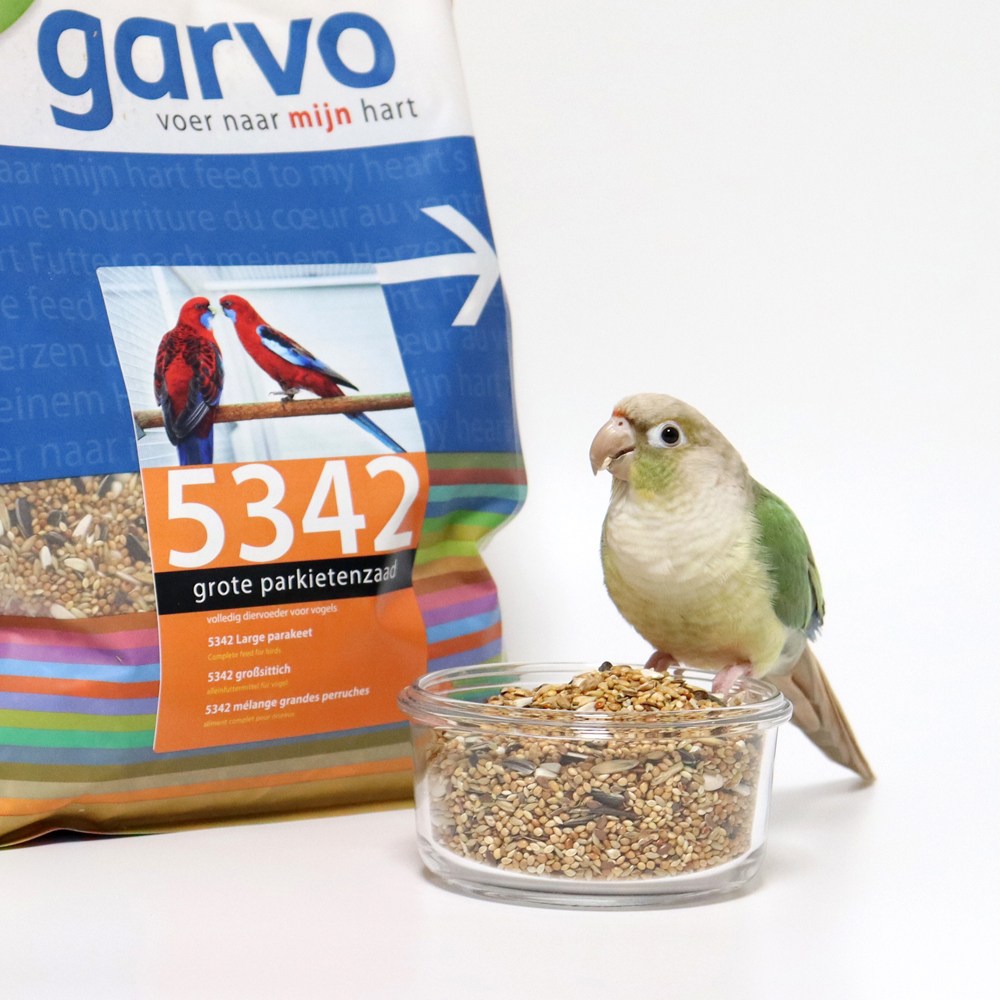 가르보 빅패러킷 앵무새 사료 중소형조용 알곡 2kg 애완조 모이 새 먹이 GARVO 용품, 2kg, 1개 18,000원