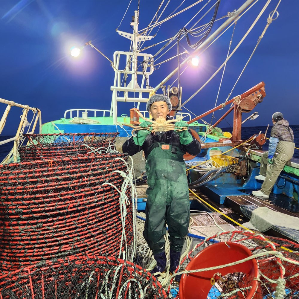 성이수산 제철 포항 구룡포 자숙 박달 붉은 대게 연지홍게 3kg 67,500원