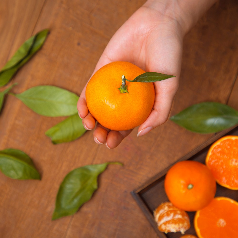 제주아꼼이네 제철 고당도 비가림귤, 1박스, 가정용 5kg(로얄과) 47,800원