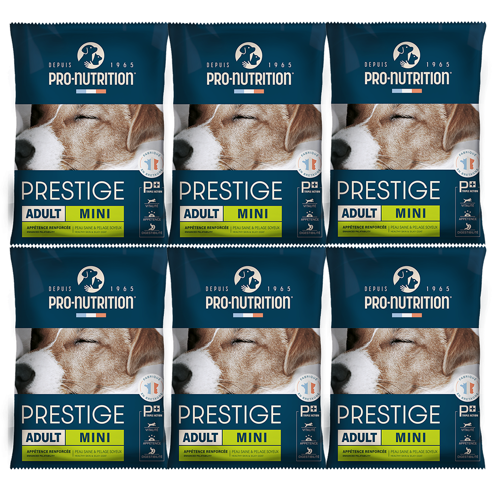 프레스티지 독 어덜트 미니 강아지 사료 샘플 체험팩 [본품쿠폰증정], 6개, 70g, 닭, 현재가 9,900원
