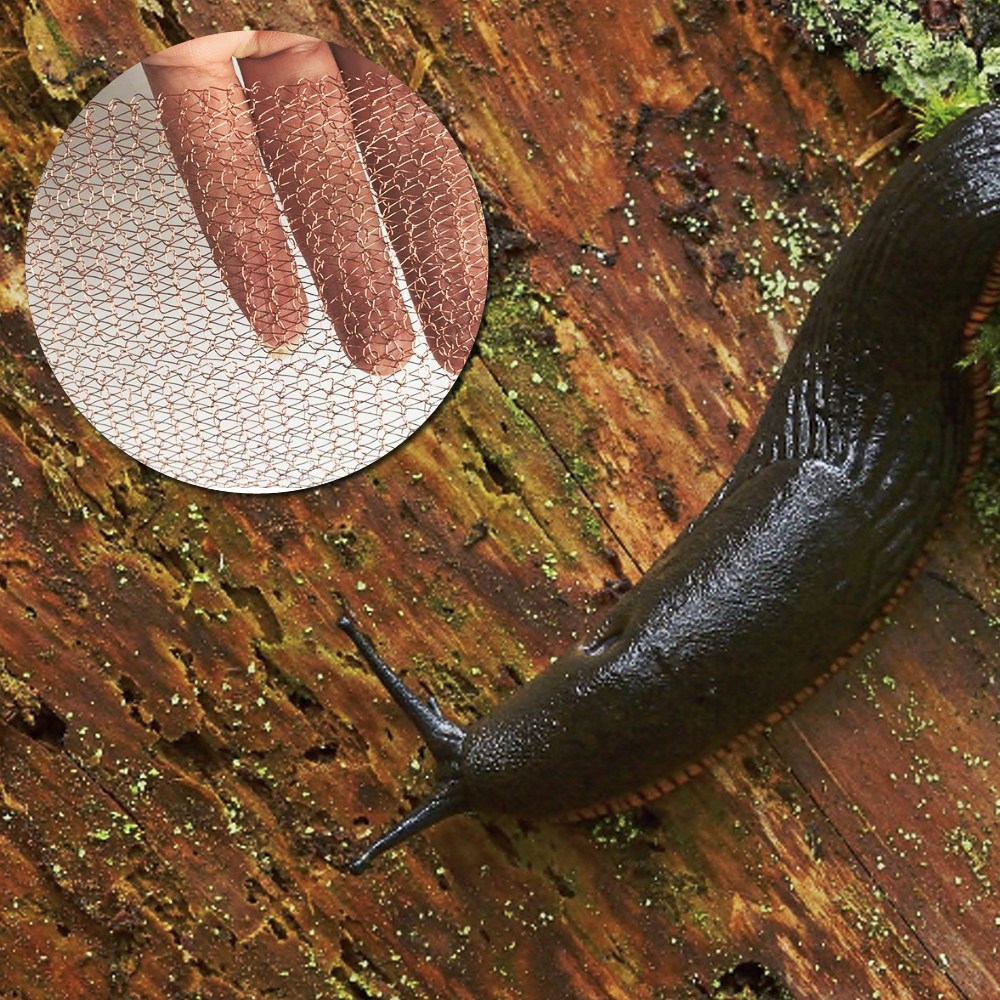 민달팽이퇴치 해충방지 구리망 메쉬형 3m 14,800원