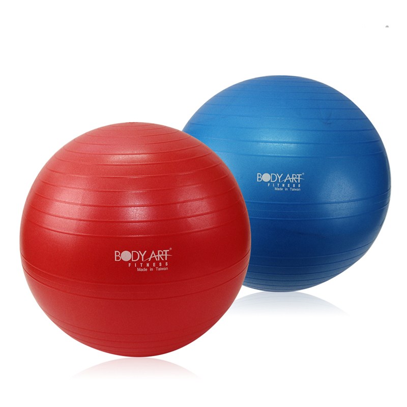 바디아트 프리미엄 안티버스트 짐볼 친환경 55Cm 65Cm 16,840원