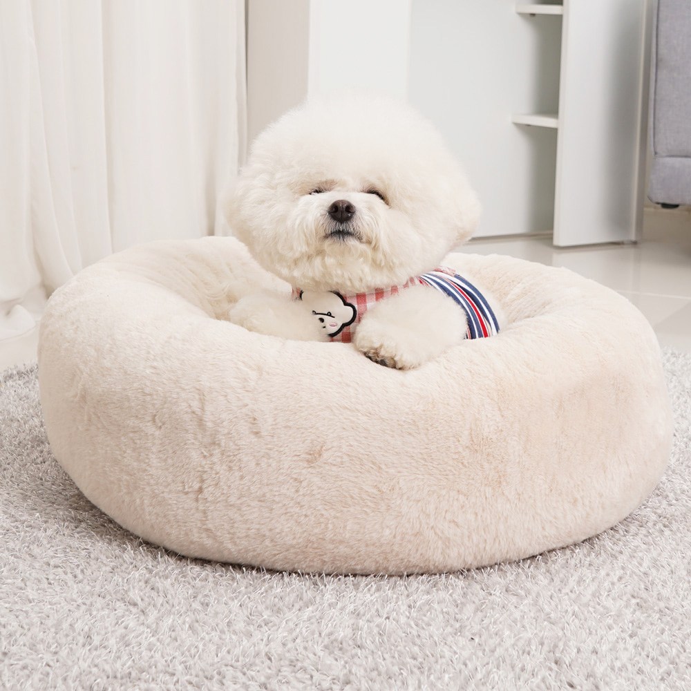 개과천선 DU방석 반려동물사계절용 꿀잠 강아지 방석 39,600원