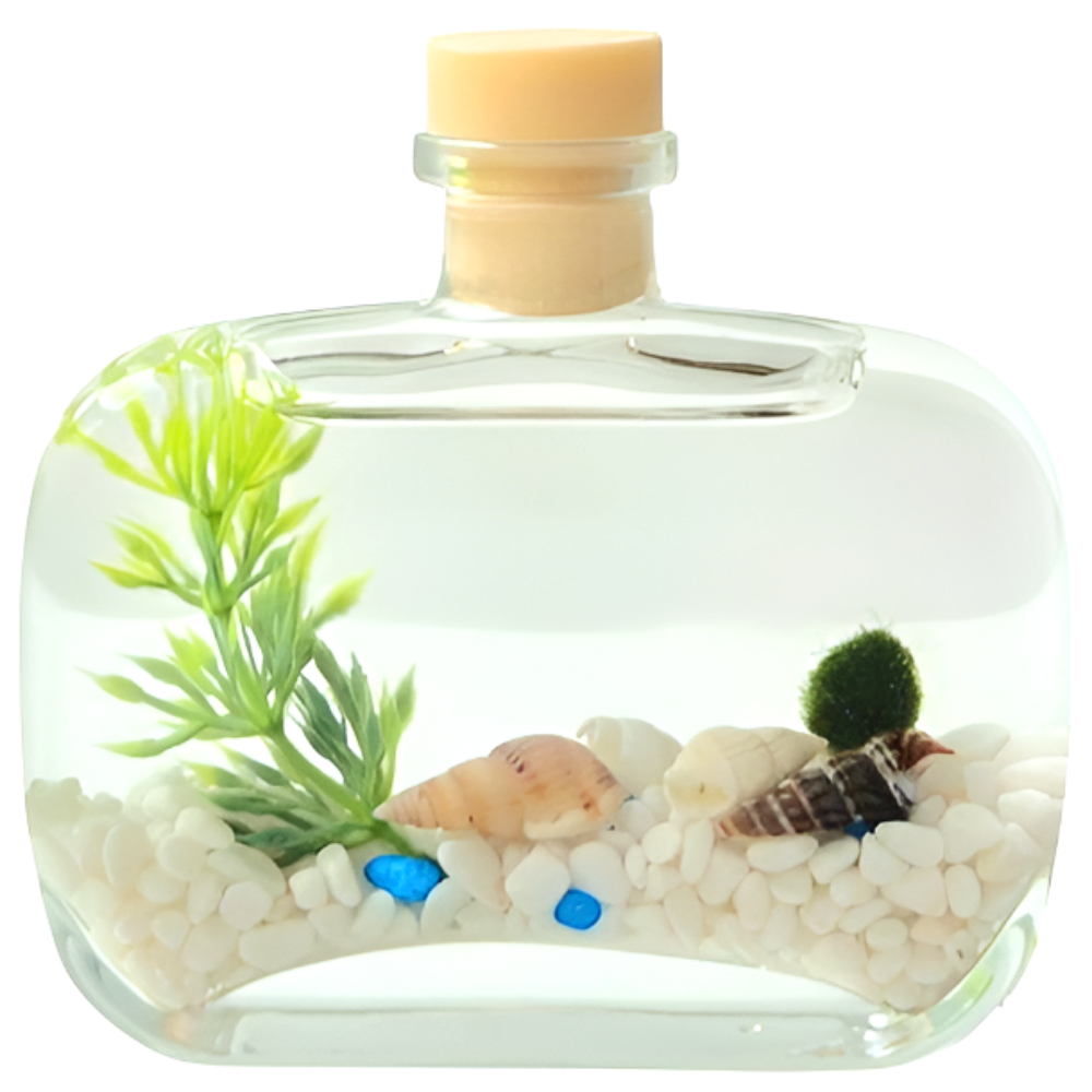 (달빛마녀캔들)바다 마리모 키우기 세트 반려식물, 1개 8,200원