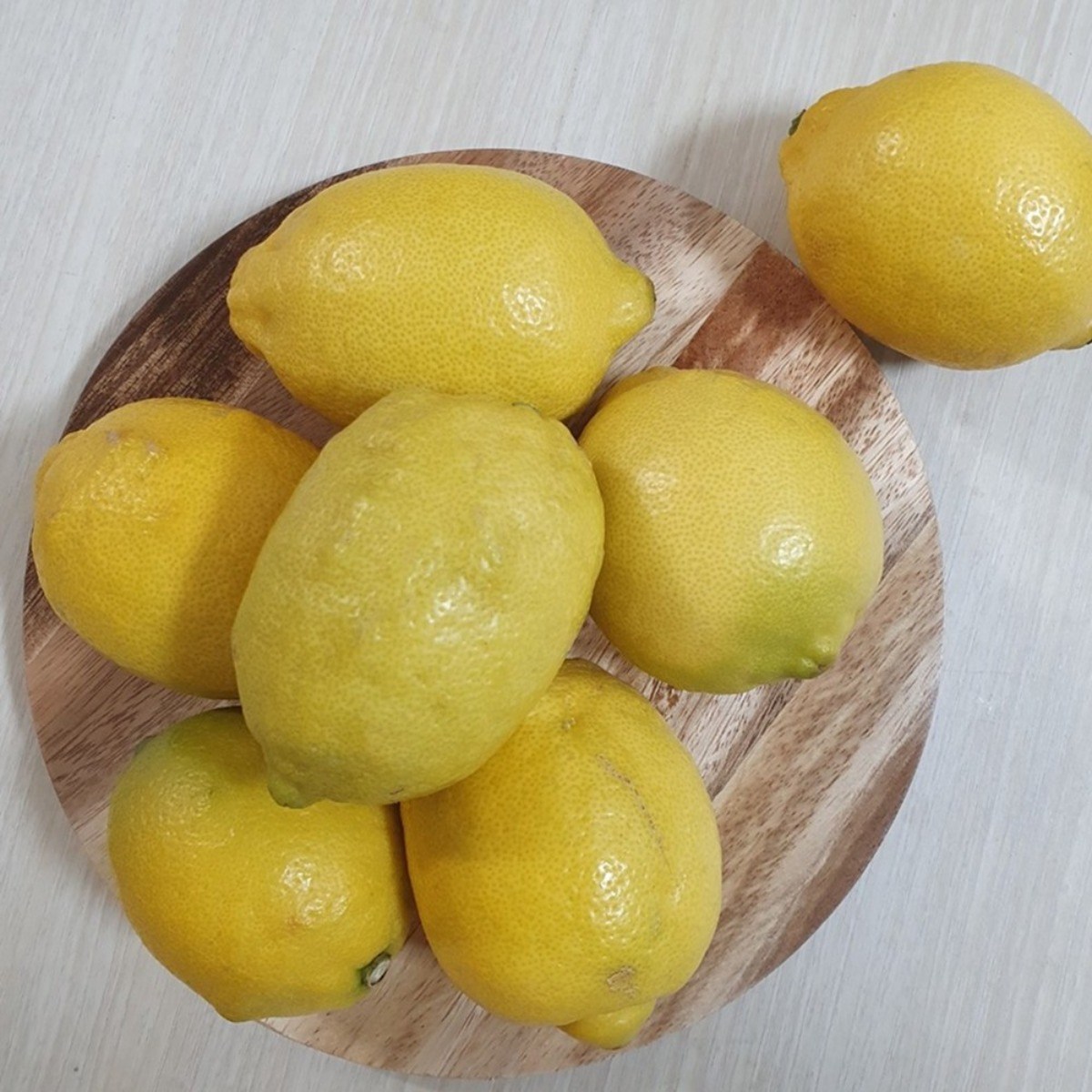 [껍질째먹는1등급특가]수출등급 팬시 GAP 제주 레몬 26,000원