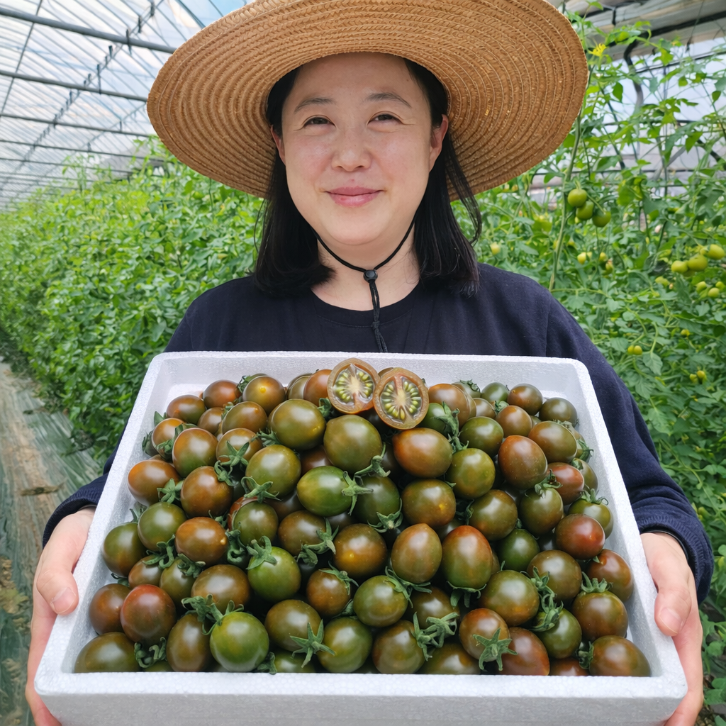 [상위1%] 산지직송 2026년 첫 수확 부산 대저 흑대추 방울 토마토 24,390원