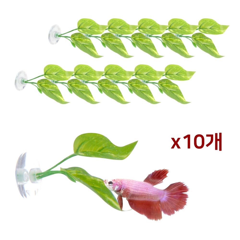 아쿠아 나뭇잎 베타침대 Q2 10개입 세트 테라리움 인공조화 하프문 인조수초 장식, 10개 9,900원