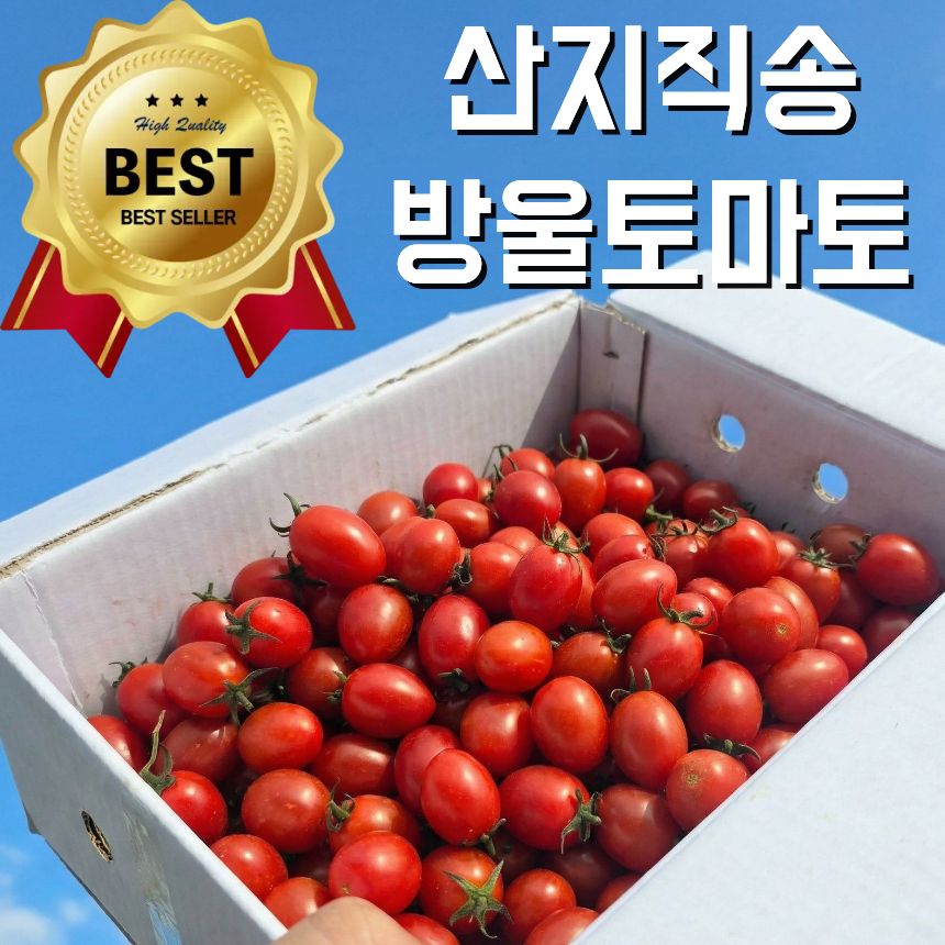 대추방울토마토 강원도 산지직송 가정용, 1박스, 2kg 44,200원
