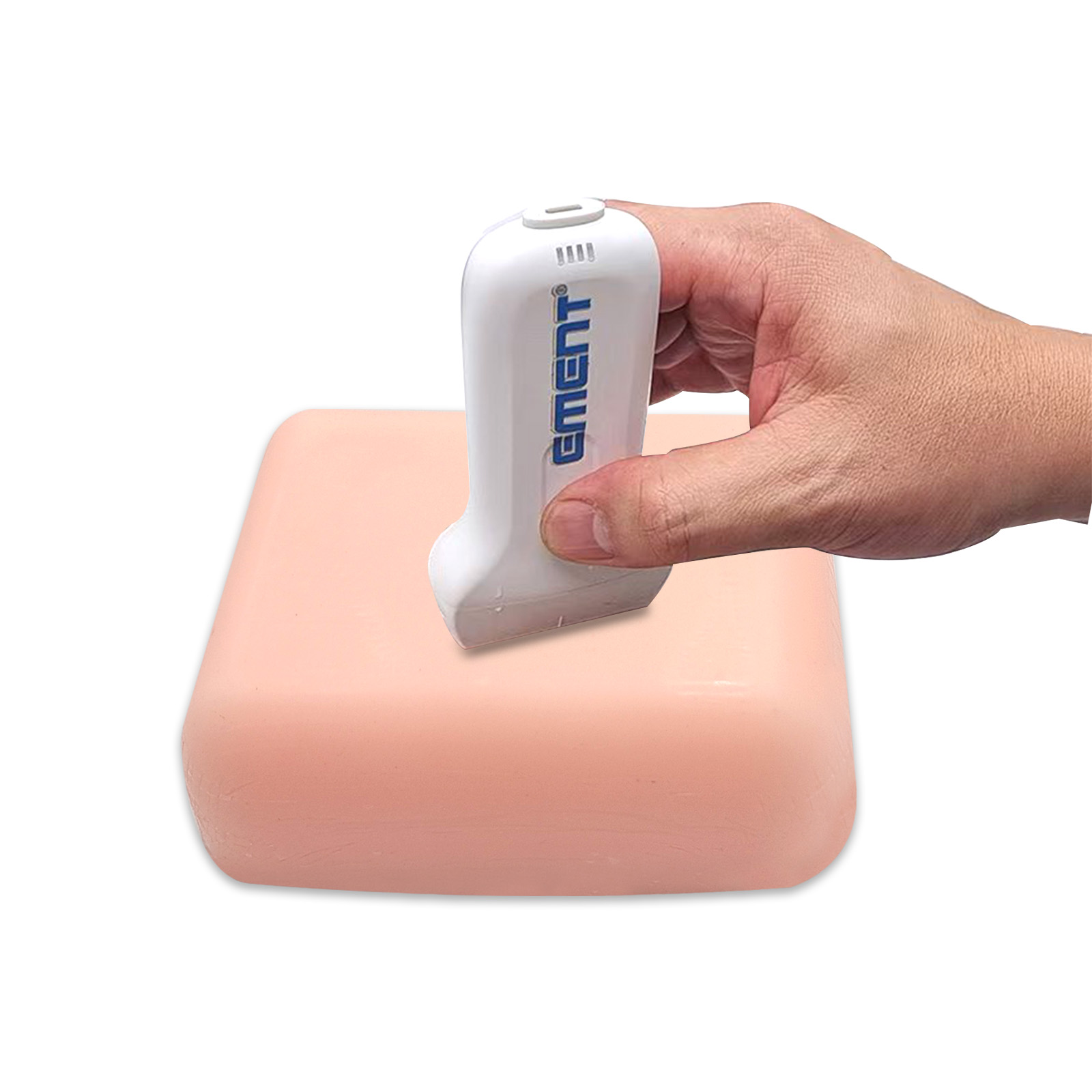 초음파 가이드 정밀 위치 확인 훈련 모델, 전문 기술 연습용 실습 도구 (내부 구조 시뮬레이션, 내구성 소재), 1개 212,000원