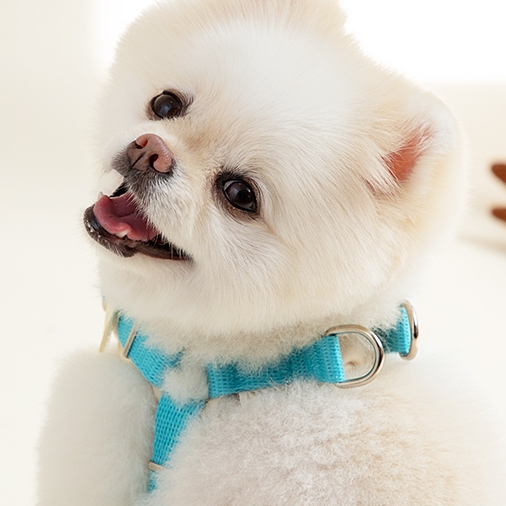 힛찌 강아지 초경량 앞섬방지 Y형 이지워크 하네스 26,900원