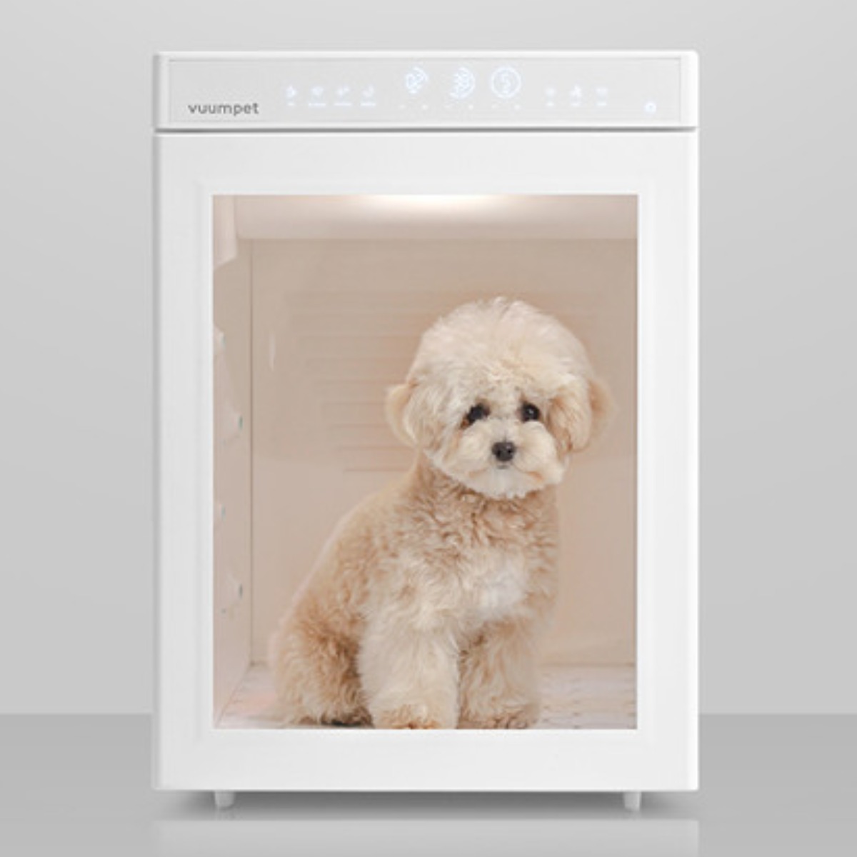 붐펫 드라이룸, 단델리온 VP-PCR-D, 화이트, 1개 611,000원