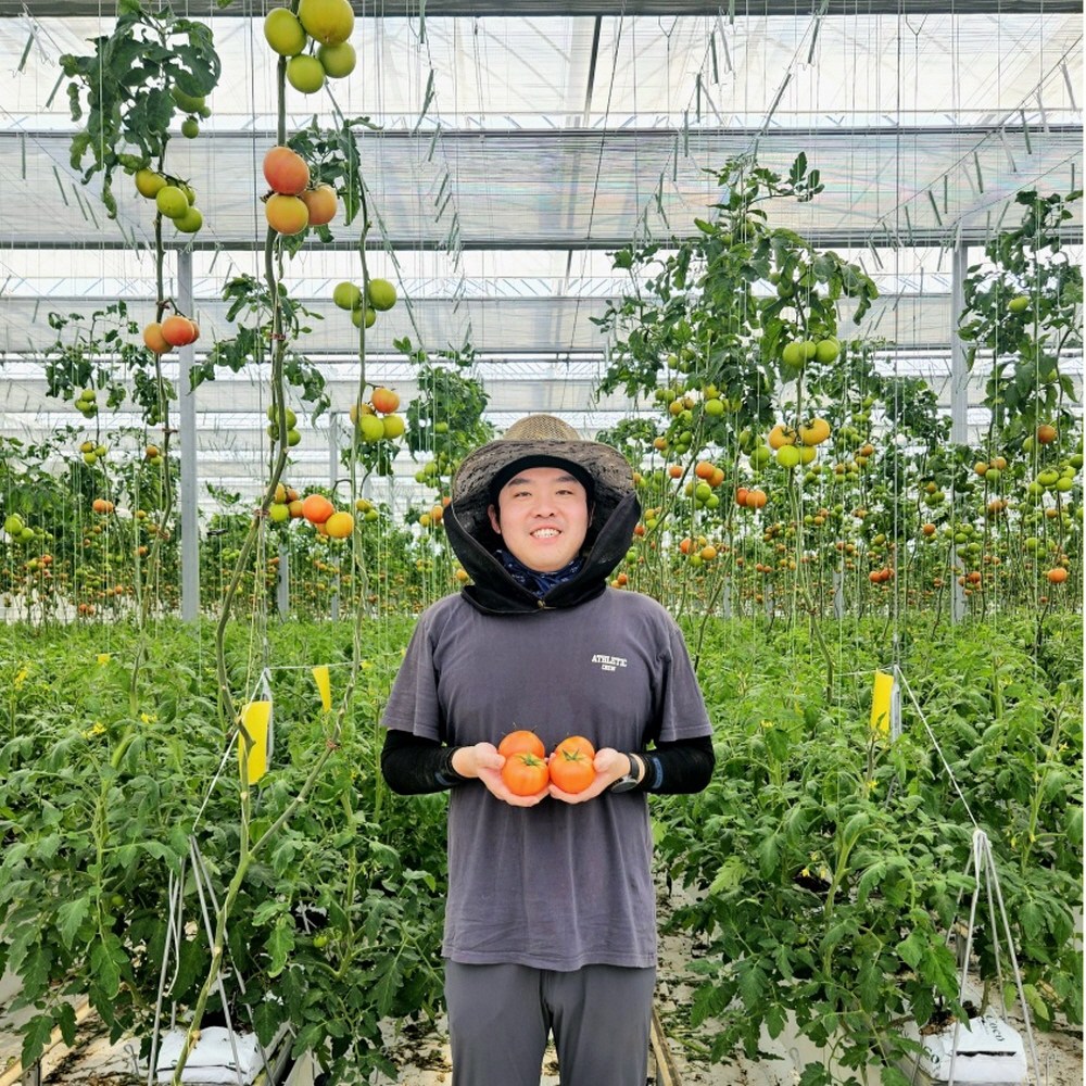 스마트마토 완숙토마토 산지직송 유럽종 5kg 스마트팜 연중생산, 1박스, 5kg 소과(정품) 39,300원