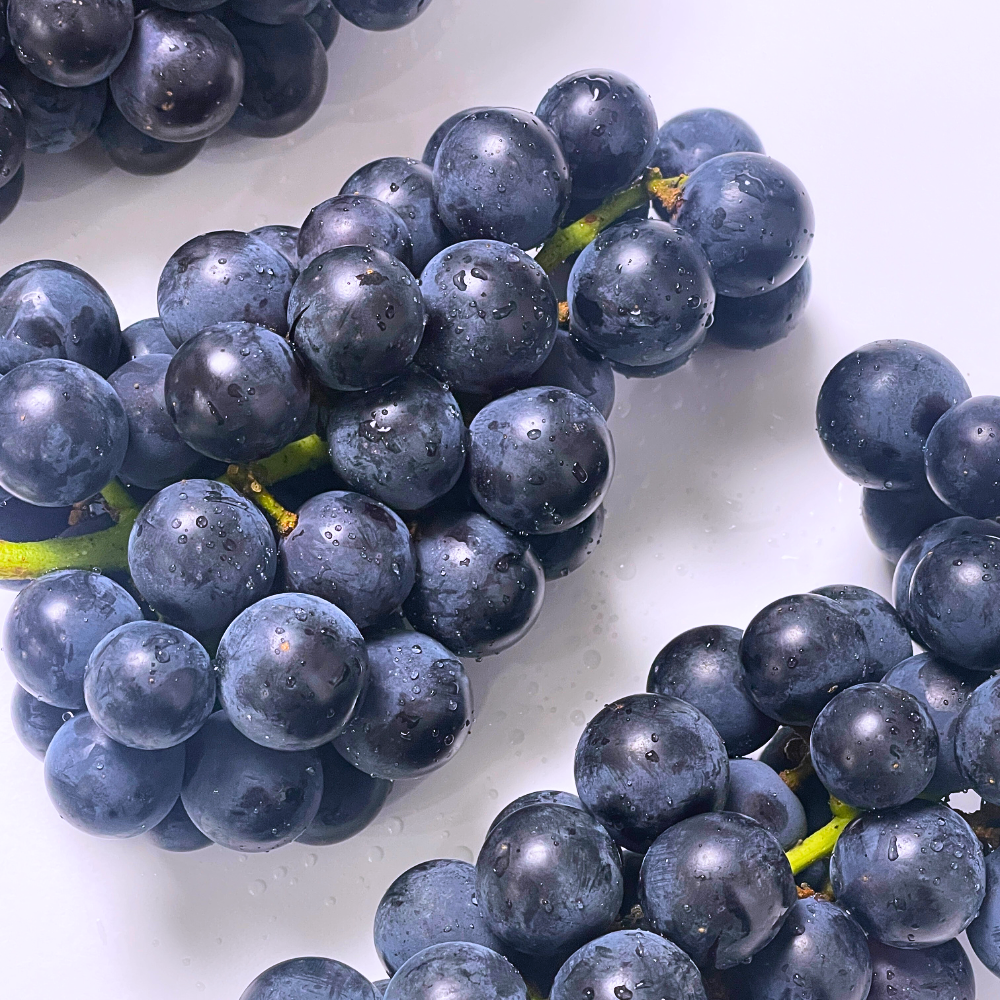 18brix 고당도 캠벨 켐벨 세레단포도 25,800원