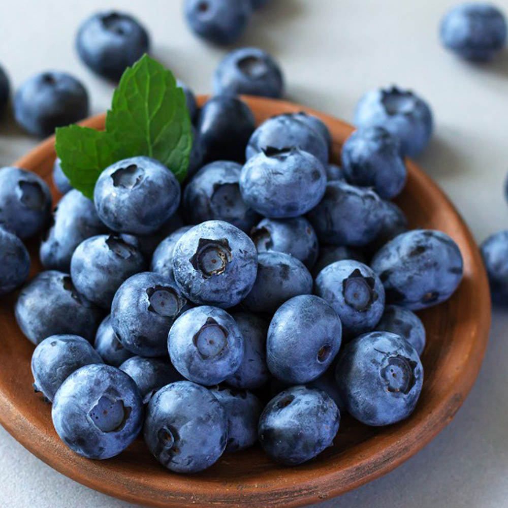 푸드마실 생 블루베리 19,900원