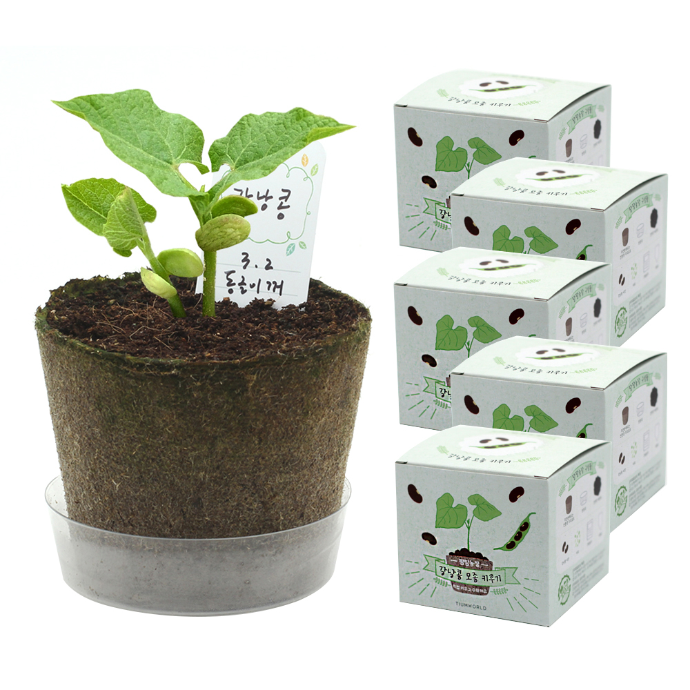 틔움세상 팜팜농장 모종키우기 텃밭가꾸기세트 5p 13,100원