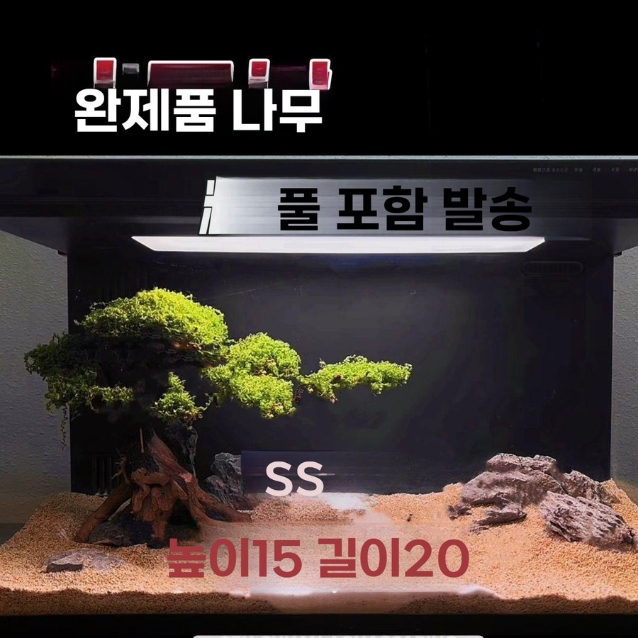 어항 조경 세트 모스 트리 수초 유목 자연풍 수조 장식 맞이소나무 44,000원